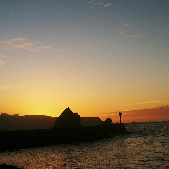 Meet your Posher, Amy - Picture 1 of 1